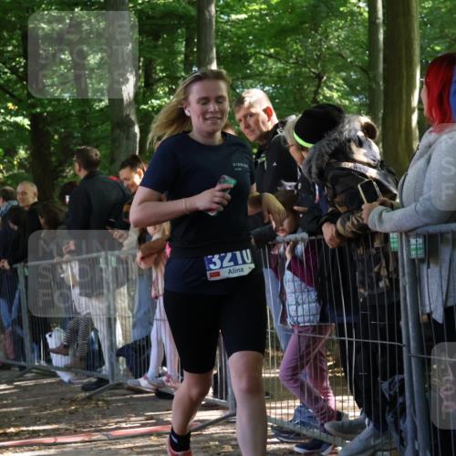 28.09.2025 - 33. Volkslauf durch das schöne Alstertal Strokosch-Dieckow http://msf.ph/oto/8965593 28.09.2025 11:26:49 Ziel 3033, 3116, 3210 meine-sportfotos.de