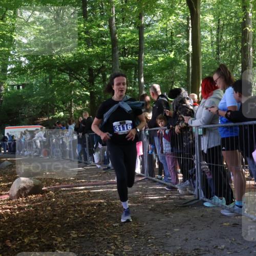 28.09.2025 - 33. Volkslauf durch das schöne Alstertal Strokosch-Dieckow http://msf.ph/oto/8965602 28.09.2025 11:26:59 Ziel 3049, 3116 meine-sportfotos.de