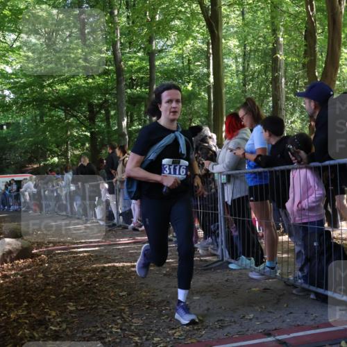 28.09.2025 - 33. Volkslauf durch das schöne Alstertal Strokosch-Dieckow http://msf.ph/oto/8965603 28.09.2025 11:26:59 Ziel 3049, 3116 meine-sportfotos.de