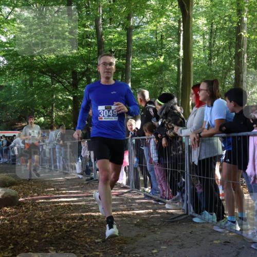 28.09.2025 - 33. Volkslauf durch das schöne Alstertal Strokosch-Dieckow http://msf.ph/oto/8965609 28.09.2025 11:27:08 Ziel 3049, 3936, 3946 meine-sportfotos.de