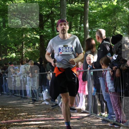 28.09.2025 - 33. Volkslauf durch das schöne Alstertal Strokosch-Dieckow http://msf.ph/oto/8965612 28.09.2025 11:27:10 Ziel 3309, 3312, 3313, 3936, 3946 meine-sportfotos.de