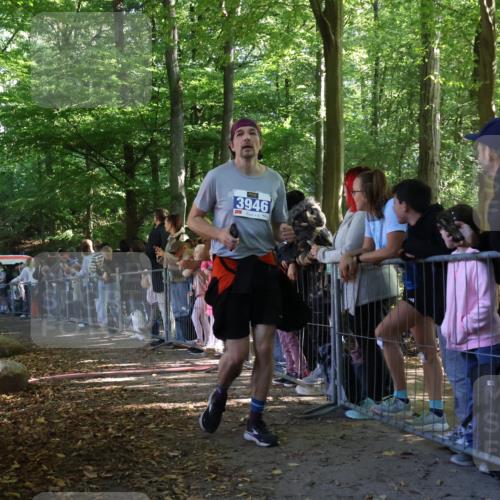 28.09.2025 - 33. Volkslauf durch das schöne Alstertal Strokosch-Dieckow http://msf.ph/oto/8965613 28.09.2025 11:27:10 Ziel 3309, 3312, 3313, 3936, 3946 meine-sportfotos.de
