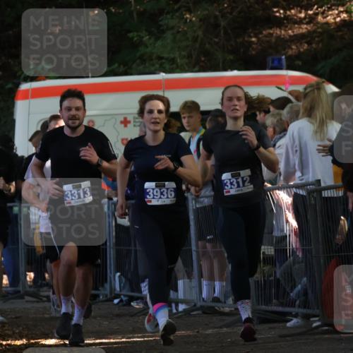 28.09.2025 - 33. Volkslauf durch das schöne Alstertal Strokosch-Dieckow http://msf.ph/oto/8965615 28.09.2025 11:27:13 Ziel 3308, 3309, 3312, 3313, 3936 meine-sportfotos.de