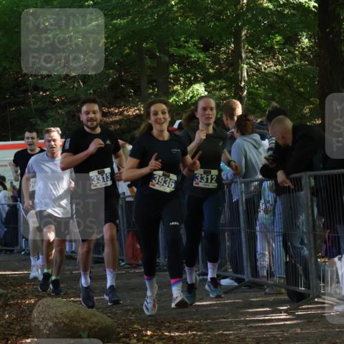 28.09.2025 - 33. Volkslauf durch das schöne Alstertal Strokosch-Dieckow http://msf.ph/oto/8965618 28.09.2025 11:27:16 Ziel 3308, 3309, 3312, 3313, 3936 meine-sportfotos.de