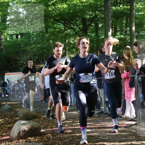 28.09.2025 - 33. Volkslauf durch das schöne Alstertal Strokosch-Dieckow http://msf.ph/oto/8965621 28.09.2025 11:27:17 Ziel 3308, 3309, 3312, 3313, 3936 meine-sportfotos.de