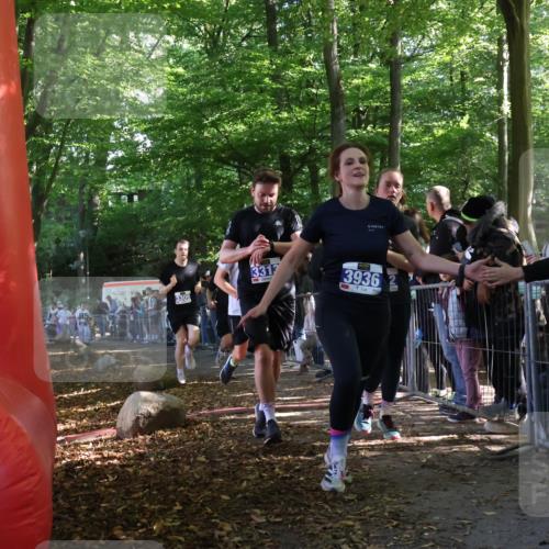 28.09.2025 - 33. Volkslauf durch das schöne Alstertal Strokosch-Dieckow http://msf.ph/oto/8965622 28.09.2025 11:27:18 Ziel 3308, 3309, 3312, 3313, 3936 meine-sportfotos.de