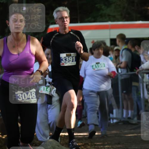 28.09.2025 - 33. Volkslauf durch das schöne Alstertal Strokosch-Dieckow http://msf.ph/oto/8965627 28.09.2025 11:27:28 Ziel 1002, 3048, 3357, 3391 meine-sportfotos.de