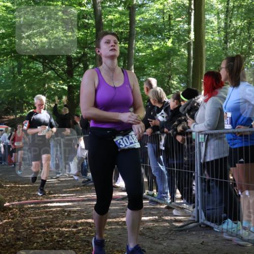 28.09.2025 - 33. Volkslauf durch das schöne Alstertal Strokosch-Dieckow http://msf.ph/oto/8965631 28.09.2025 11:27:31 Ziel 1002, 3048, 3066, 3357, 3391, 4141, 4159 meine-sportfotos.de