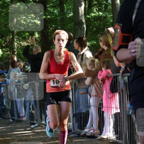 28.09.2025 - 33. Volkslauf durch das schöne Alstertal Strokosch-Dieckow http://msf.ph/oto/8965635 28.09.2025 11:27:33 Ziel 1002, 3066, 3357, 3391, 4141, 4159 meine-sportfotos.de