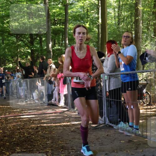 28.09.2025 - 33. Volkslauf durch das schöne Alstertal Strokosch-Dieckow http://msf.ph/oto/8965637 28.09.2025 11:27:34 Ziel 1002, 3066, 3357, 4141, 4159 meine-sportfotos.de