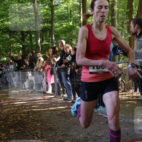 28.09.2025 - 33. Volkslauf durch das schöne Alstertal Strokosch-Dieckow http://msf.ph/oto/8965638 28.09.2025 11:27:35 Ziel 1002, 3066, 3357, 4141, 4159 meine-sportfotos.de