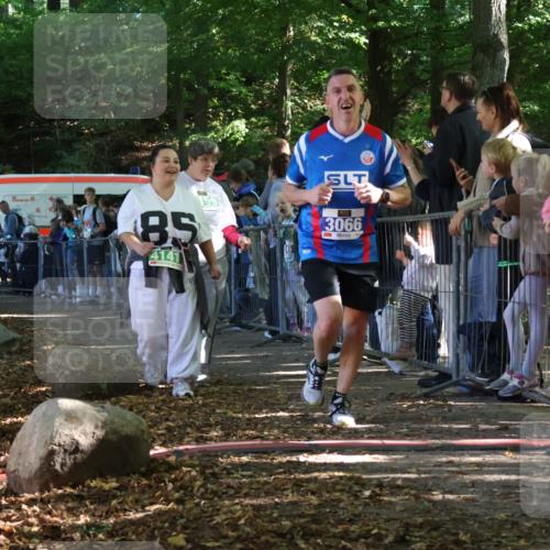 28.09.2025 - 33. Volkslauf durch das schöne Alstertal Strokosch-Dieckow http://msf.ph/oto/8965643 28.09.2025 11:27:38 Ziel 3066, 3357, 4141, 4159 meine-sportfotos.de