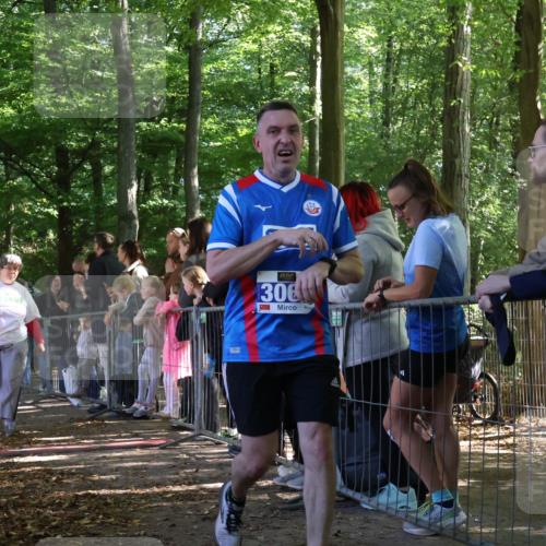 28.09.2025 - 33. Volkslauf durch das schöne Alstertal Strokosch-Dieckow http://msf.ph/oto/8965647 28.09.2025 11:27:40 Ziel 3045, 3066, 4159 meine-sportfotos.de