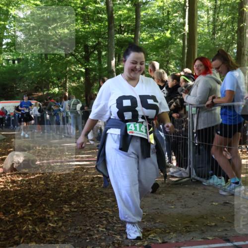 28.09.2025 - 33. Volkslauf durch das schöne Alstertal Strokosch-Dieckow http://msf.ph/oto/8965654 28.09.2025 11:27:44 Ziel 3045, 3143, 3254, 3306, 3945, 3954 meine-sportfotos.de