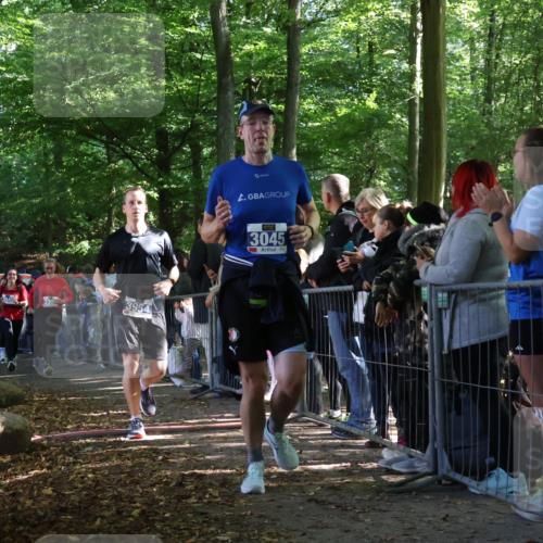 28.09.2025 - 33. Volkslauf durch das schöne Alstertal Strokosch-Dieckow http://msf.ph/oto/8965661 28.09.2025 11:27:49 Ziel 3045, 3142, 3143, 3144, 3254, 3306, 3945, 3954 meine-sportfotos.de