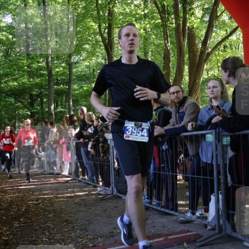 28.09.2025 - 33. Volkslauf durch das schöne Alstertal Strokosch-Dieckow http://msf.ph/oto/8965665 28.09.2025 11:27:51 Ziel 3142, 3143, 3144, 3254, 3306, 3945, 3954 meine-sportfotos.de