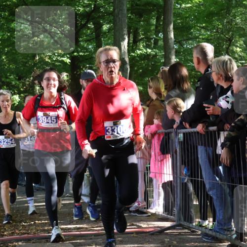 28.09.2025 - 33. Volkslauf durch das schöne Alstertal Strokosch-Dieckow http://msf.ph/oto/8965666 28.09.2025 11:27:52 Ziel 3142, 3143, 3144, 3254, 3306, 3945 meine-sportfotos.de