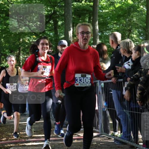 28.09.2025 - 33. Volkslauf durch das schöne Alstertal Strokosch-Dieckow http://msf.ph/oto/8965667 28.09.2025 11:27:52 Ziel 3142, 3143, 3144, 3254, 3306, 3945 meine-sportfotos.de