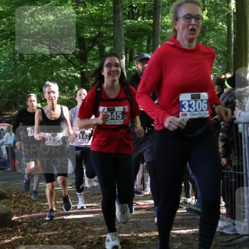 28.09.2025 - 33. Volkslauf durch das schöne Alstertal Strokosch-Dieckow http://msf.ph/oto/8965668 28.09.2025 11:27:53 Ziel 3142, 3143, 3144, 3254, 3306, 3945 meine-sportfotos.de