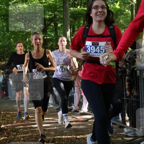28.09.2025 - 33. Volkslauf durch das schöne Alstertal Strokosch-Dieckow http://msf.ph/oto/8965669 28.09.2025 11:27:53 Ziel 3142, 3143, 3144, 3254, 3306, 3945 meine-sportfotos.de