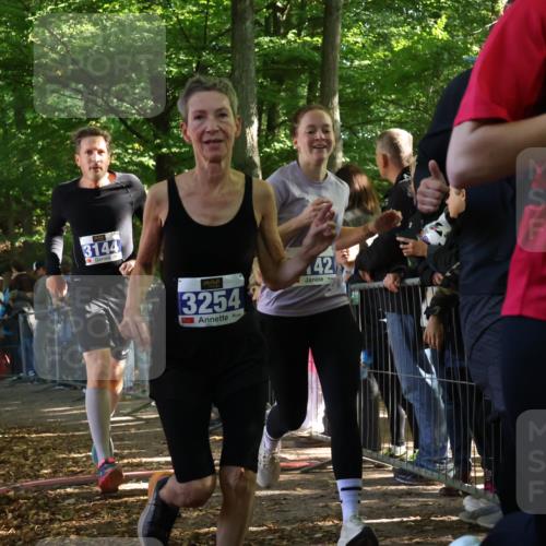 28.09.2025 - 33. Volkslauf durch das schöne Alstertal Strokosch-Dieckow http://msf.ph/oto/8965670 28.09.2025 11:27:54 Ziel 3142, 3143, 3144, 3254 meine-sportfotos.de