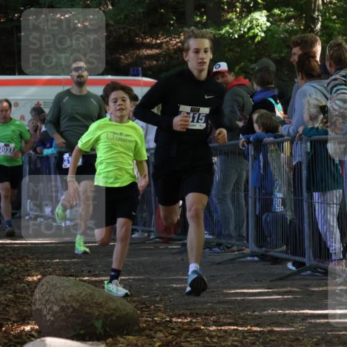 28.09.2025 - 33. Volkslauf durch das schöne Alstertal Strokosch-Dieckow http://msf.ph/oto/8965675 28.09.2025 11:28:06 Ziel 1510, 3037, 3100, 3140, 3415 meine-sportfotos.de