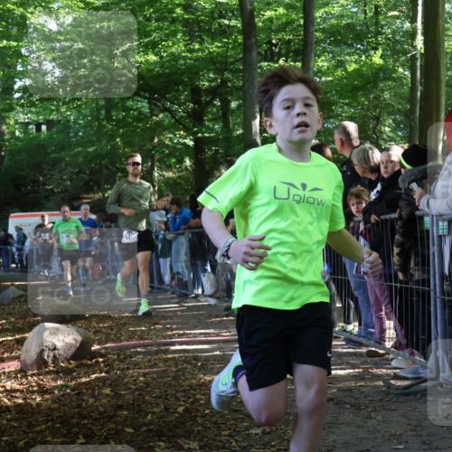 28.09.2025 - 33. Volkslauf durch das schöne Alstertal Strokosch-Dieckow http://msf.ph/oto/8965681 28.09.2025 11:28:09 Ziel 1510, 3037, 3100, 3140, 3415 meine-sportfotos.de