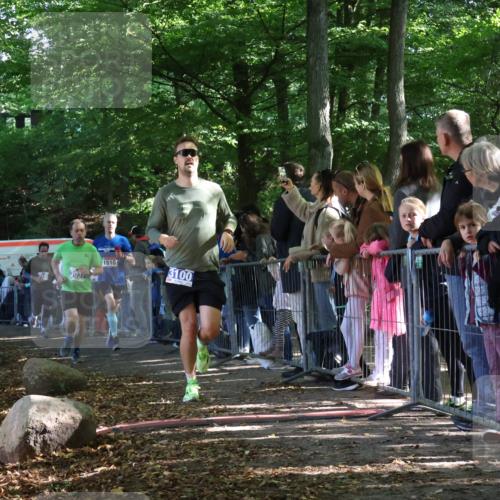28.09.2025 - 33. Volkslauf durch das schöne Alstertal Strokosch-Dieckow http://msf.ph/oto/8965682 28.09.2025 11:28:09 Ziel 1510, 3037, 3100, 3140, 3415 meine-sportfotos.de