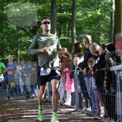 28.09.2025 - 33. Volkslauf durch das schöne Alstertal Strokosch-Dieckow http://msf.ph/oto/8965684 28.09.2025 11:28:10 Ziel 1510, 3037, 3100, 3140 meine-sportfotos.de