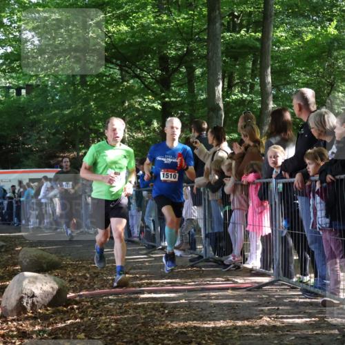 28.09.2025 - 33. Volkslauf durch das schöne Alstertal Strokosch-Dieckow http://msf.ph/oto/8965686 28.09.2025 11:28:11 Ziel 1510, 3037, 3100, 3140 meine-sportfotos.de
