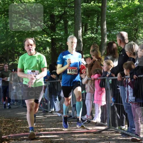 28.09.2025 - 33. Volkslauf durch das schöne Alstertal Strokosch-Dieckow http://msf.ph/oto/8965687 28.09.2025 11:28:11 Ziel 1510, 3037, 3100, 3140 meine-sportfotos.de