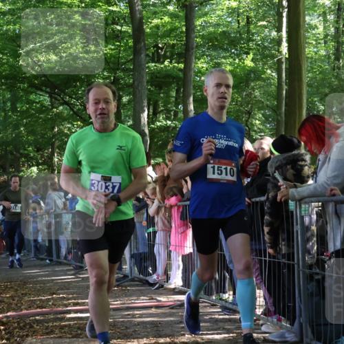 28.09.2025 - 33. Volkslauf durch das schöne Alstertal Strokosch-Dieckow http://msf.ph/oto/8965689 28.09.2025 11:28:12 Ziel 1510, 3037, 3140 meine-sportfotos.de