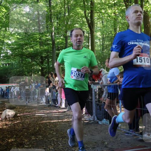 28.09.2025 - 33. Volkslauf durch das schöne Alstertal Strokosch-Dieckow http://msf.ph/oto/8965691 28.09.2025 11:28:13 Ziel 1510, 3037, 3140 meine-sportfotos.de
