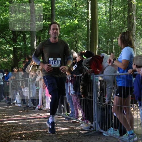 28.09.2025 - 33. Volkslauf durch das schöne Alstertal Strokosch-Dieckow http://msf.ph/oto/8965695 28.09.2025 11:28:15 Ziel 1001, 3140, 3275 meine-sportfotos.de