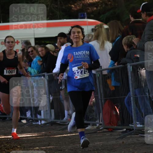 28.09.2025 - 33. Volkslauf durch das schöne Alstertal Strokosch-Dieckow http://msf.ph/oto/8965697 28.09.2025 11:28:19 Ziel 1001, 3181, 3275 meine-sportfotos.de
