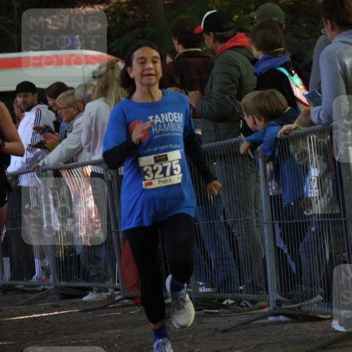 28.09.2025 - 33. Volkslauf durch das schöne Alstertal Strokosch-Dieckow http://msf.ph/oto/8965698 28.09.2025 11:28:20 Ziel 1001, 3181, 3275 meine-sportfotos.de