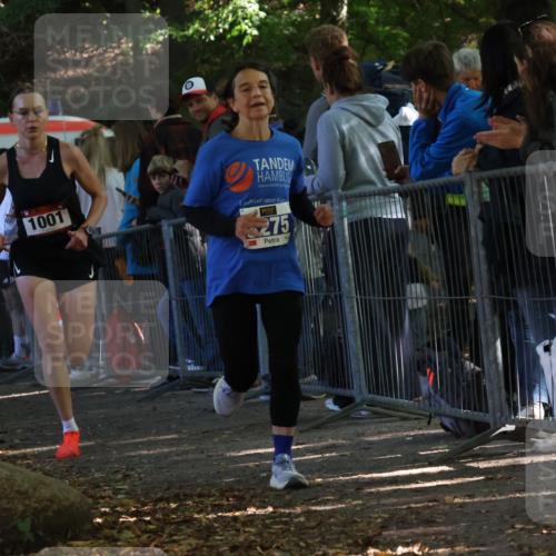 28.09.2025 - 33. Volkslauf durch das schöne Alstertal Strokosch-Dieckow http://msf.ph/oto/8965699 28.09.2025 11:28:21 Ziel 1001, 3029, 3181, 3275 meine-sportfotos.de