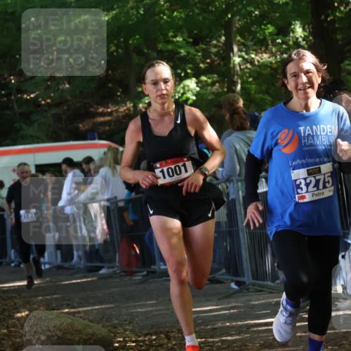 28.09.2025 - 33. Volkslauf durch das schöne Alstertal Strokosch-Dieckow http://msf.ph/oto/8965701 28.09.2025 11:28:22 Ziel 1001, 3029, 3181, 3275 meine-sportfotos.de