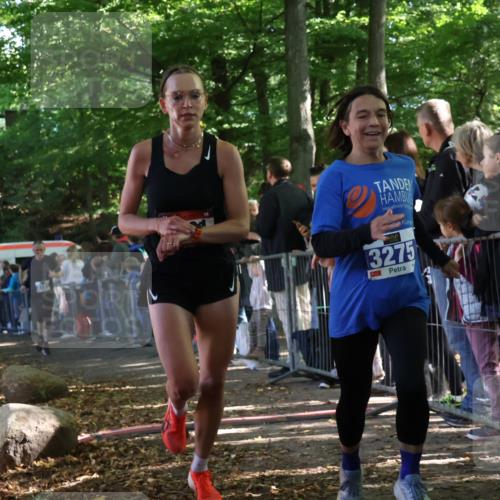 28.09.2025 - 33. Volkslauf durch das schöne Alstertal Strokosch-Dieckow http://msf.ph/oto/8965703 28.09.2025 11:28:23 Ziel 1001, 3029, 3181, 3275 meine-sportfotos.de