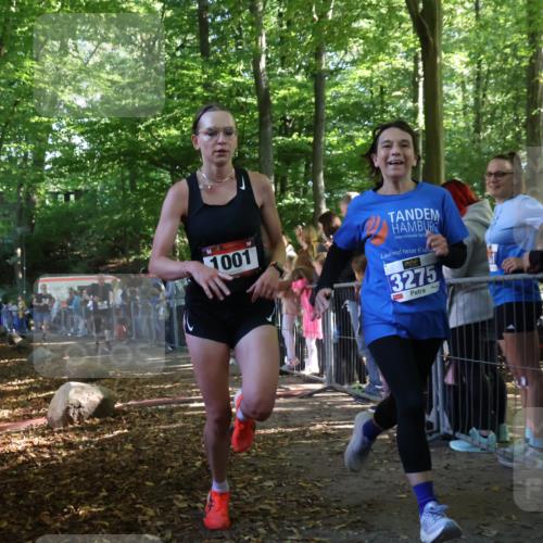 28.09.2025 - 33. Volkslauf durch das schöne Alstertal Strokosch-Dieckow http://msf.ph/oto/8965704 28.09.2025 11:28:24 Ziel 1001, 3029, 3181, 3275 meine-sportfotos.de