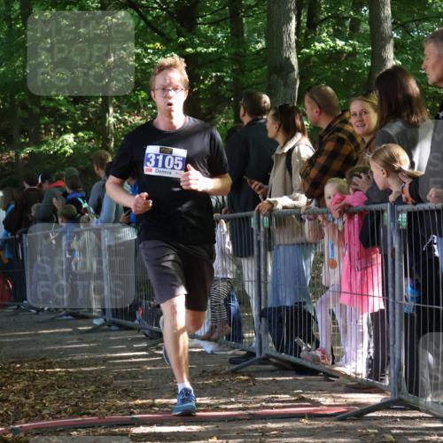 28.09.2025 - 33. Volkslauf durch das schöne Alstertal Strokosch-Dieckow http://msf.ph/oto/8965715 28.09.2025 11:28:39 Ziel 3012, 3105, 3405 meine-sportfotos.de