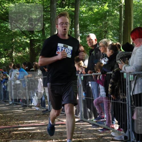 28.09.2025 - 33. Volkslauf durch das schöne Alstertal Strokosch-Dieckow http://msf.ph/oto/8965717 28.09.2025 11:28:40 Ziel 3012, 3105, 3405 meine-sportfotos.de