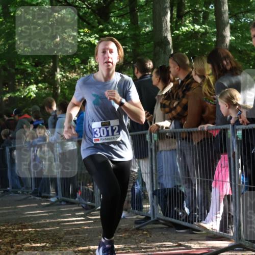 28.09.2025 - 33. Volkslauf durch das schöne Alstertal Strokosch-Dieckow http://msf.ph/oto/8965719 28.09.2025 11:28:42 Ziel 1509, 3012, 3405 meine-sportfotos.de