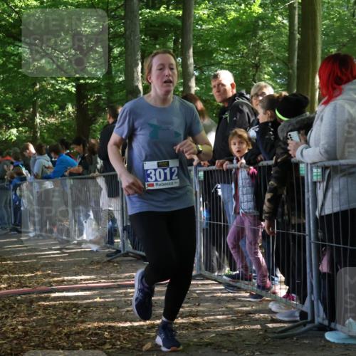 28.09.2025 - 33. Volkslauf durch das schöne Alstertal Strokosch-Dieckow http://msf.ph/oto/8965720 28.09.2025 11:28:43 Ziel 1509, 3012, 3405 meine-sportfotos.de