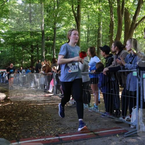 28.09.2025 - 33. Volkslauf durch das schöne Alstertal Strokosch-Dieckow http://msf.ph/oto/8965721 28.09.2025 11:28:43 Ziel 1509, 3012, 3405 meine-sportfotos.de