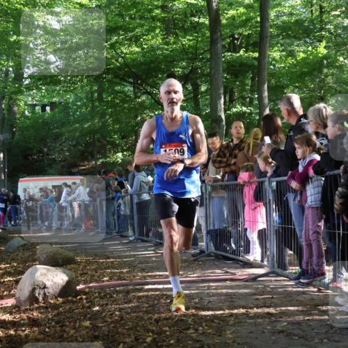 28.09.2025 - 33. Volkslauf durch das schöne Alstertal Strokosch-Dieckow http://msf.ph/oto/8965724 28.09.2025 11:28:50 Ziel 1509, 3345, 3355, 3914 meine-sportfotos.de