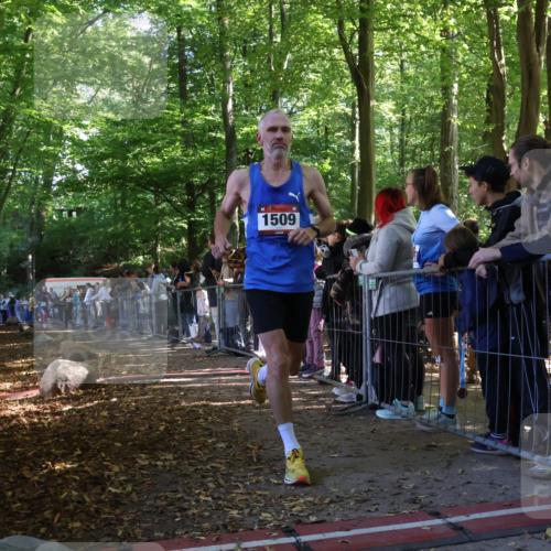 28.09.2025 - 33. Volkslauf durch das schöne Alstertal Strokosch-Dieckow http://msf.ph/oto/8965725 28.09.2025 11:28:51 Ziel 1509, 3345, 3355, 3383, 3914 meine-sportfotos.de