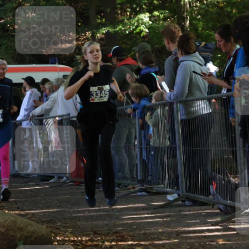 28.09.2025 - 33. Volkslauf durch das schöne Alstertal Strokosch-Dieckow http://msf.ph/oto/8965727 28.09.2025 11:28:54 Ziel 3345, 3355, 3383, 3914, 3937 meine-sportfotos.de