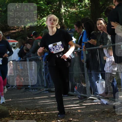 28.09.2025 - 33. Volkslauf durch das schöne Alstertal Strokosch-Dieckow http://msf.ph/oto/8965729 28.09.2025 11:28:55 Ziel 3345, 3355, 3383, 3914, 3937 meine-sportfotos.de
