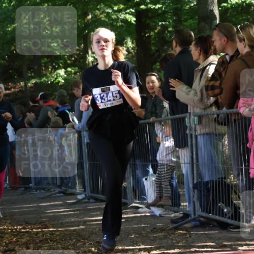 28.09.2025 - 33. Volkslauf durch das schöne Alstertal Strokosch-Dieckow http://msf.ph/oto/8965730 28.09.2025 11:28:55 Ziel 3345, 3355, 3383, 3914, 3937 meine-sportfotos.de